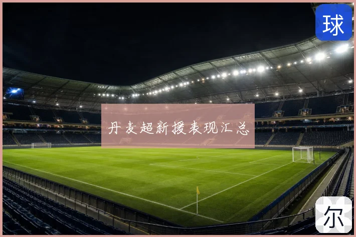 丹麦超新援表现汇总
