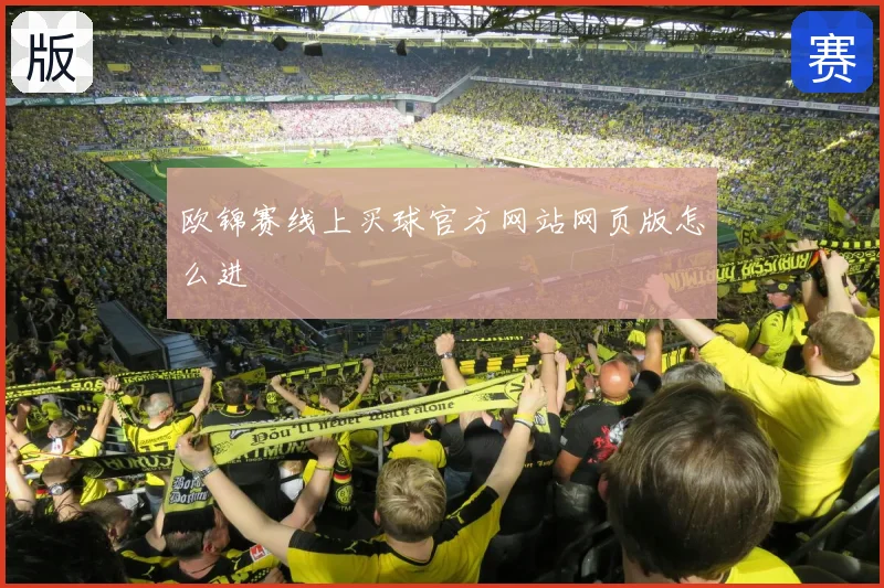 欧锦赛线上买球官方网站网页版怎么进