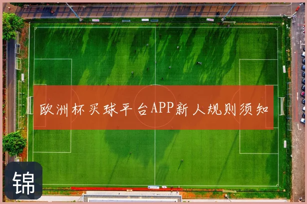 欧洲杯买球平台APP新人规则须知